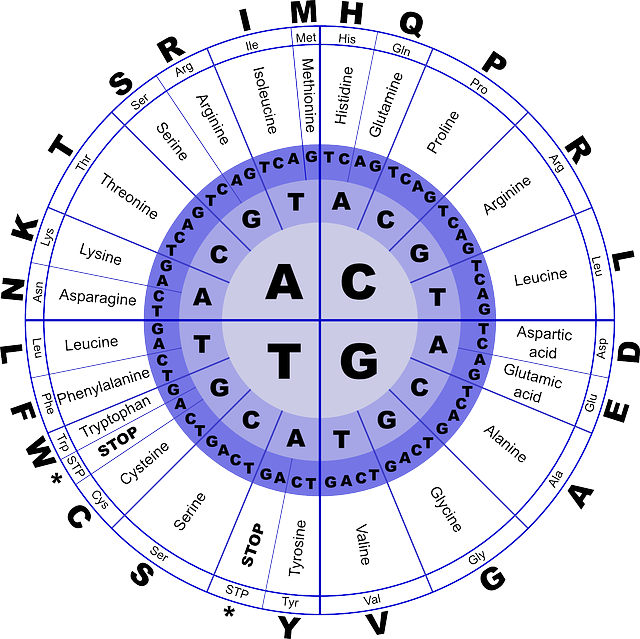 Amino Acids Class