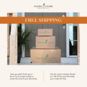 Free-Shipping_US
