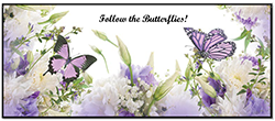 follow the butterflies