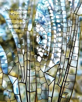 Dragonfly Light 16x20