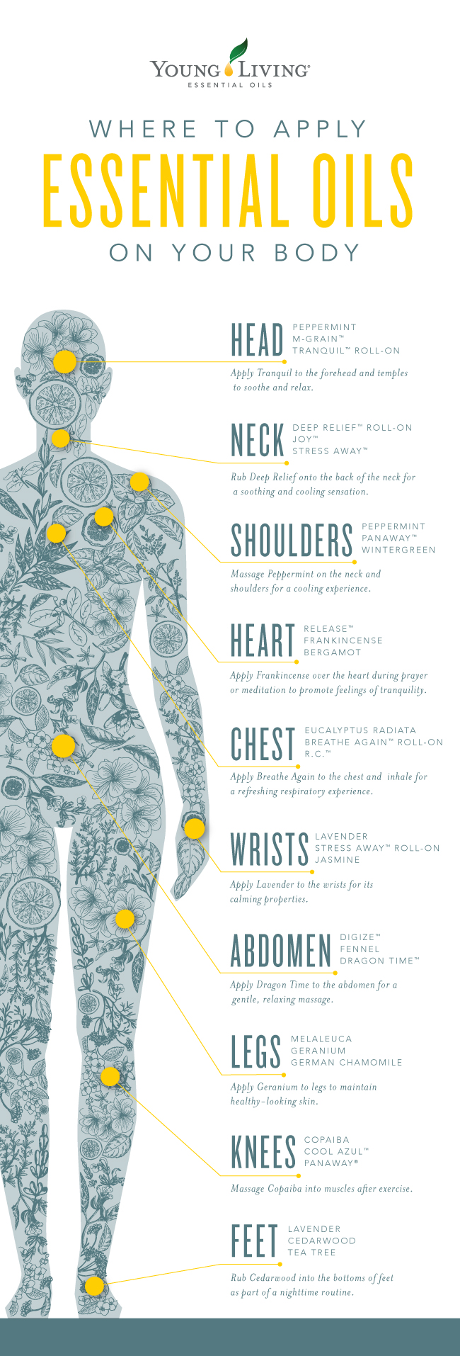 Where-to-apply-essential-oils-on-your-body_Infographic