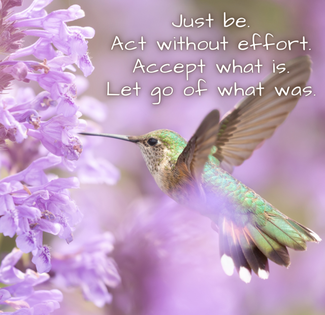 Accept what is let go what was