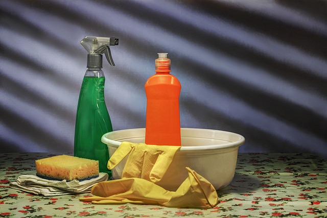 Household cleaners - endocrine disruptors