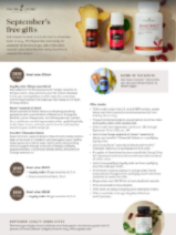 September Gift w Purchase Flyer